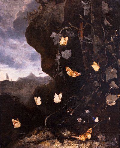 - Otto Marseus van Schrieck