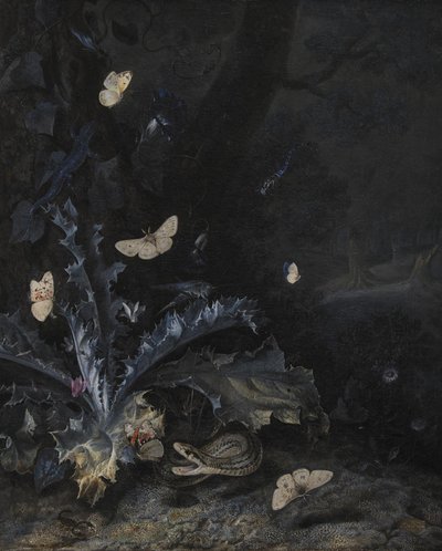 Nature Morte avec Chardon et Serpent - Otto Marseus  van Schrieck