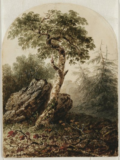 Paysage avec bouleau, 1859 - Owen G. Hanks