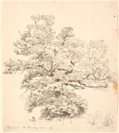 Un grand chêne, sous lequel est assis un homme dessinant - P.C. Skovgaard