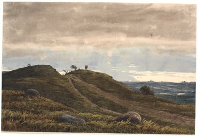 Paysage avec un chemin sablonneux menant à travers une colline de bruyère. À droite, vue sur une vaste étendue de terre avec des tourbières. De la région de Raageleje ? - P.C. Skovgaard