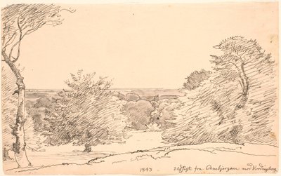 Paysage avec arbres et vue dégagée des Ambjergene vers Vordingborg - P.C. Skovgaard