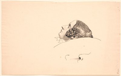 Tête de profil de l