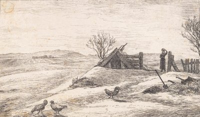 Paysage d