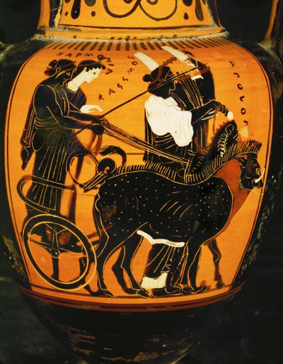 Cadmos, frère d