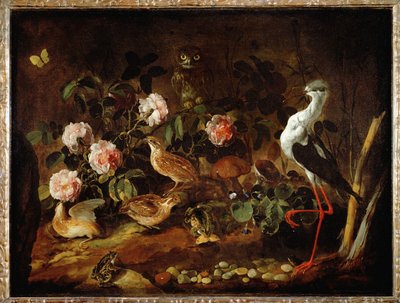 Nature morte avec une chouette et un ibis - Still-life with owl and ibis … - Paolo Porpora