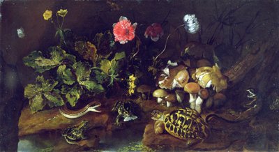 Nature morte avec un serpent, des grenouilles, une tortue et un lézard - Paolo Porpora