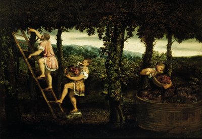 Scène de vendange - Paris Bordone