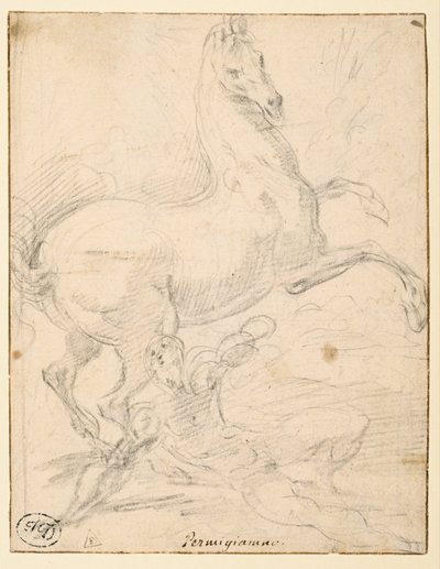 Conversion de Saint Paul (recto) - Parmigianino
