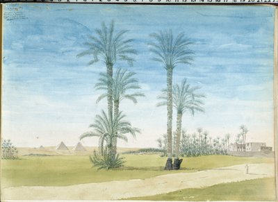 Égypte : Pyramides de Gizeh - Pascal Xavier (after) Coste