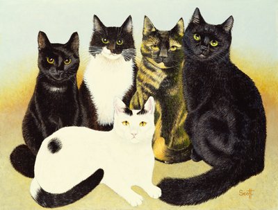 Les chats de Miss Cox - Pat Scott