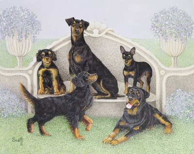 Thé sur la terrasse - Pat Scott