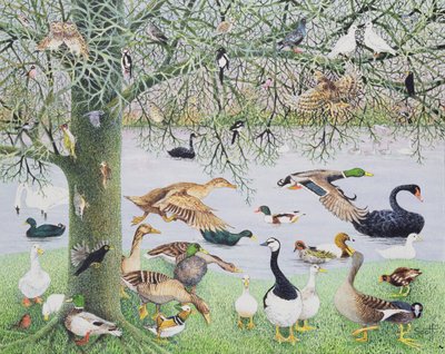 Le canard bizarre (acrylique sur toile) - Pat Scott