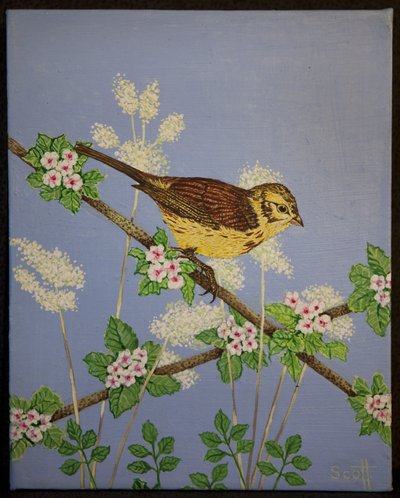Marteau jaune, 2016 - Pat Scott