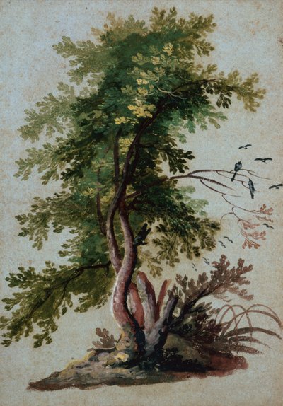 Un arbre avec deux oiseaux perchés sur une branche - Paul Brill or Bril
