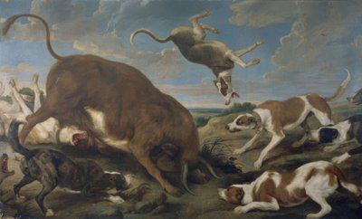 Taureau attaqué par des chiens - Paul De Vos