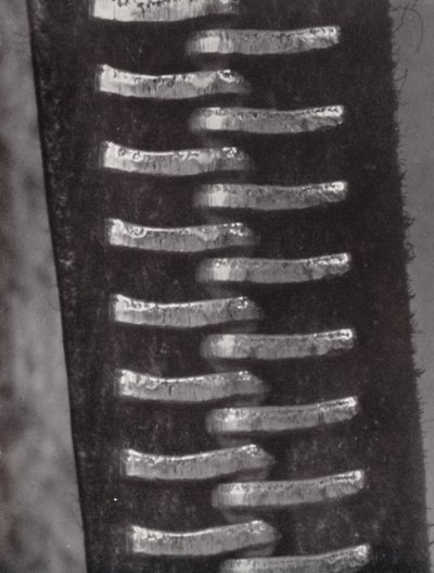 Fermeture éclair - Paul Henning