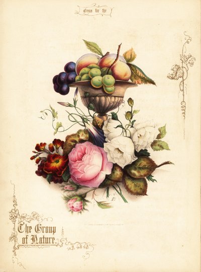 Bouquet de roses avec raisins et pêches dans un vase - Paul Jerrard