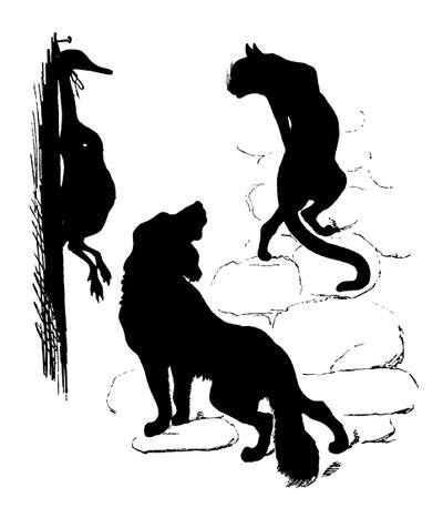 Silhouette - Paul Konewka