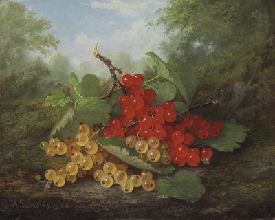 Nature morte aux groseilles rouges et blanches - Paul Lacroix