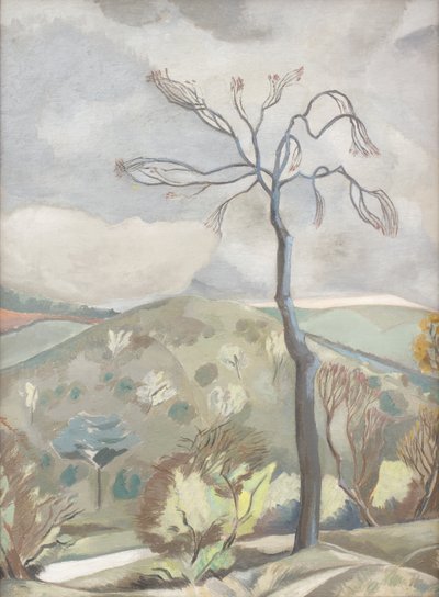 Paysage d
