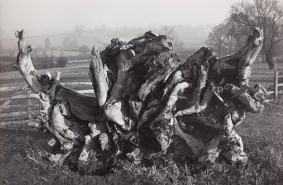 Laocoon", Carswall