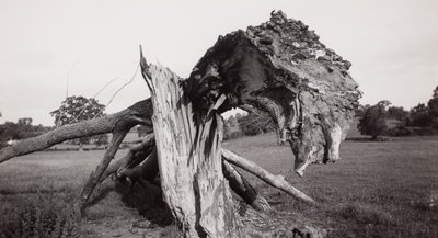 Monster Field", Carswall