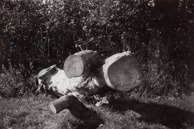 Object Trouve - Paul Nash