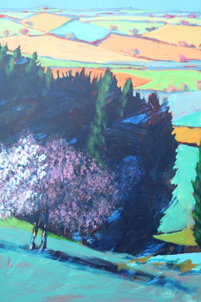 Vallée de Teme en fleur (détail) - Paul Powis