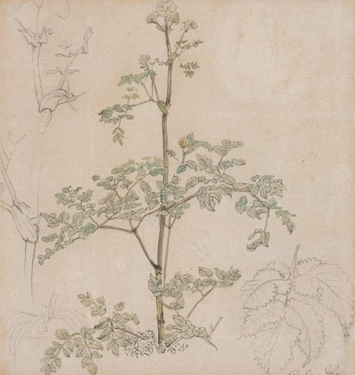  - Paul Sandby