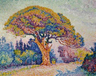 Signac, Pin parasol de Bertaud - Paul Signac