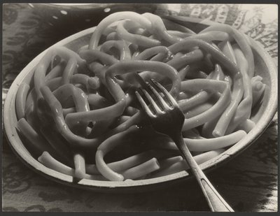 Assiette de nouilles avec fourchette - Paul Wolff