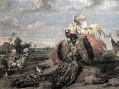 Combat de paons et de coqs - Paul De Vos