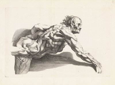 Étude anatomique d
