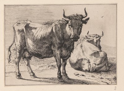Une vache debout et une autre couchée, de divers bœufs et vaches - Paulus Potter
