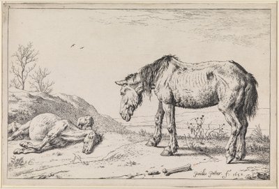  - Paulus Potter