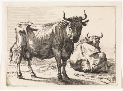 Une vache debout et une vache couchée Het Bullenboekje (titre de la série) - Paulus Potter