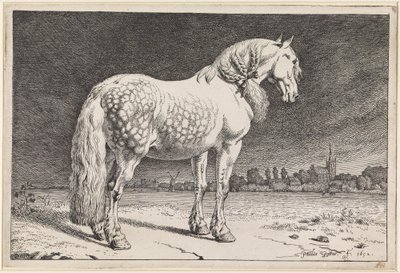  - Paulus Potter