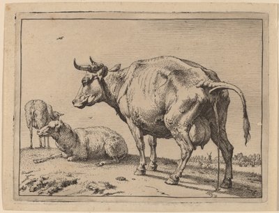 Vache urinant - Paulus Potter