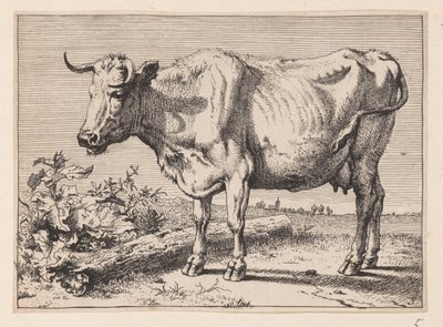 La vache à la corne froissée, de divers bœufs et vaches - Paulus Potter