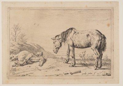 Le cheval usé (La Mazette), extrait de la série des chevaux - Paulus Potter