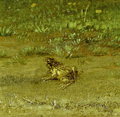 Crapaud (détail) - Paulus Potter