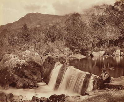 Cascade, comté de Wicklow, c. 1870 (photo) - Payne Jennings