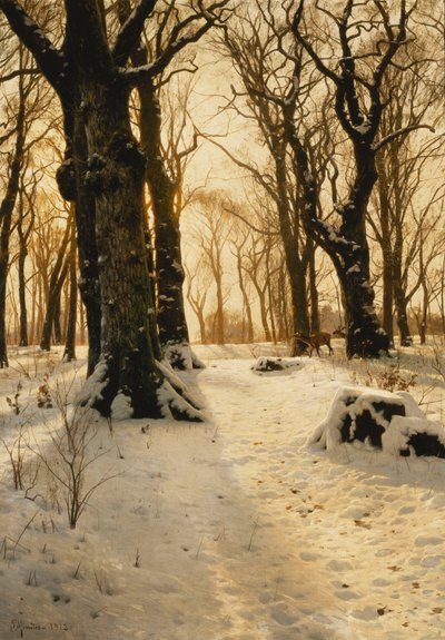 Paysage d