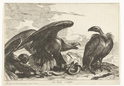 Vautour et aigle avec serpent - Peeter Boel (attributed to)