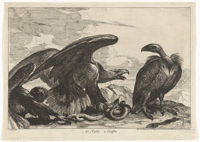Vautour et aigle avec serpent - Peeter Boel (attributed to)