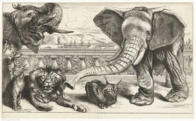 Éléphants, lions et lynx dans les jardins de Versailles - Peeter Boel (attributed to)
