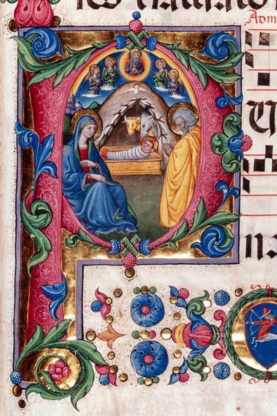 Bibliothèque Piccolomini : livre de chœur, cod. 102.8, ff. 48r avec « Nativité » (détail) - Pellegrino di Mariano
