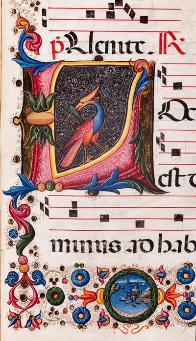 Bibliothèque Piccolomini : livre de chœur, cod. 5.E, ff. 63r avec « Initiale feuillagée » (détail) - Pellegrino di Mariano