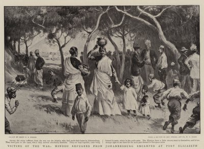 Victimes de la guerre, réfugiés hindous de Johannesburg campés à Port Elizabeth - Percy F.S. Spence